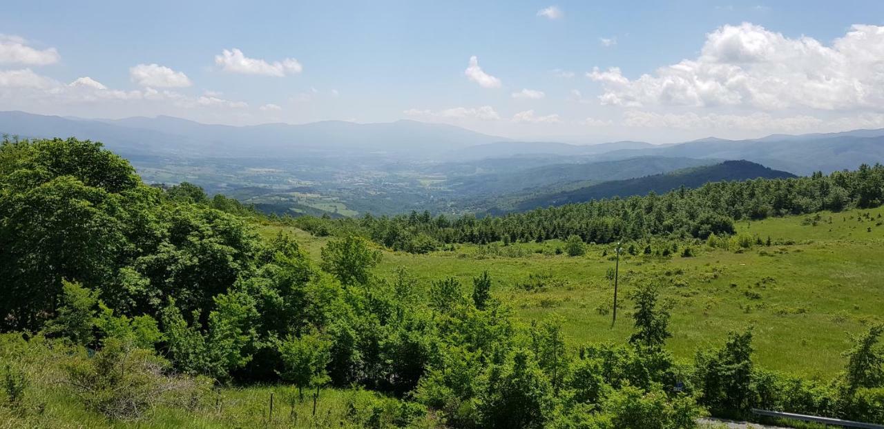 Agriturismo Podere Omomorto Villa Pratovecchio Stia Esterno foto